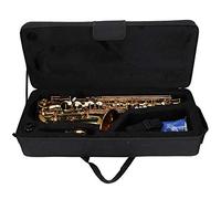 Joyance Alto Sax Alto Saxophone E Flat Brass Instrument, Electrophoresis Gold Treated Bending Tube, Profional Quality, Lightweight Design, Suitable for Musicians