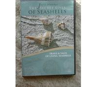 Joyce Matthys the Secret Lives of Seashells