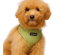 JoyCrafted-FBL Dog Harness and Leash Set - Adjustable, Breathable Neoprene, No Pull, Reflective, Comfortable Fit for Small and Medium Dogs (Green, S)