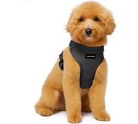 JoyCrafted-FBL No Pull No Choke Dog Harness & Dog Leash - Pink, Blue, Green Heart Design, Lightweight Breathable Neoprene for Extra Small to Medium Sized Dogs - Stylish & Fun for All Breeds