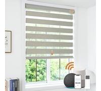 JOYENG Motorized Zebra Blinds Compatible with Alexa, Smart Dual Layer Shades with Privacy Light Control, Electric Horizontal Window Blind Customized Size for Home Office (Warm Grey)