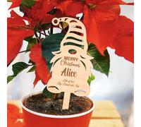 JoyForge Personalised Christmas Elf Plant Stake - The Perfect Finishing Touch for a Festive Plant Gift - Custom Engraved Wooden Pot Sign for Poinsettia & Flowers