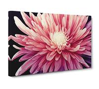 Joyful Chrysanthemum Flower Canvas Print | Gallery Wrapped 30mm Frame Wall Art | 30x20 inches | Ready to Hang | Contemporary Floral Picture | Living Room Bedroom Lounge Office