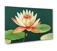 Joyful Water Lily Flower Canvas Wall Art Print 30x20 Inch
