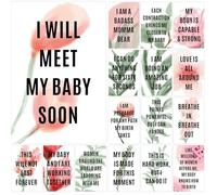 Joyfulmap 16 Birth Affirmation Cards - 4 x 6-inch Greenery for Women Premium Positive Hypnobirthing Mantra Laboring Mother Deck Pregnant Moms, Baby Shower Gifts and Labor
