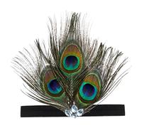 Joygoodta Feathers Headpiece 1920s Peacock Headpiece Rhinestone Hair Accessories for Women Girls Halloween Tea Party Dancing, Peacock