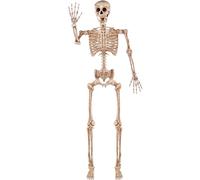 JOYIN 5.6 FT (170 cm) Halloween Posable Life Size Skeleton Full Body Realistic Bones with Movable Joints for Halloween Indoor and Outdoor Decoration