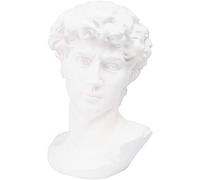 Joylern Greek Statue Greek David Head Figurine David Bust Sculptures Ornament for Home Office Decor 11.4 Inch