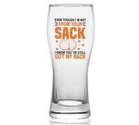 Joymaking Beer Glass Gift for Stepdad - Even I’m Not from Your Sack, Father's Day Gifts, Step Dad Gift, Best Dad Glass 460ml