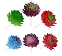 JOYOFREELY 6pcs Simulated Succulent Plants Miniature Artificial Greenery Shrubs Lifelike Desktop Adornments for Home Office Balcony Decoration Random Color Household Plant Decorations