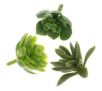 JOYOFREELY Artificial Succulent Sticks Decor Vivid Green Colour Lifelike Plastic Succulent Cuttings 3pcs for Flowerpots for Home Decoration and Arts and Crafts DIY in Office