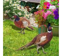 JoyousMall Acrylic Pheasant Garden Ornaments 2pcs Realistic Lawn Decorations for Gardens (B)