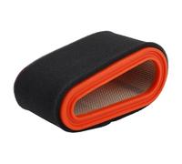 JoyousMall Air Filter Compatible with for castelgarden for mountfield for alpina for GGP 7500 7750 Engines, Replaces 118550199/0, Plastic Sponge Metal Construction