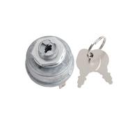 JoyousMall Ignition Switch Replacement for 493625 430-770 725-1396 925-1396A, Metal Construction with 2 Keys, Compatible Vehicle Electrical System Component, Silver, 6x4x4cm