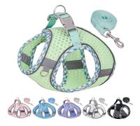 JOYPAWS Tiny Dog Harness, All Weather Diamond Mesh, Reflective Stripes, No Pull Step in Lightweight Vest Harness for Puppy, Small Dogs and Cats Sage XXXS