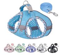 JOYPAWS Tiny Dog Harness, All Weather Diamond Mesh, Reflective Stripes, No Pull Step in Lightweight Vest Harness for Puppy, Small Dogs and Cats Blue XXXS
