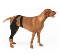 Joypig Dog Rear Leg Sleeve to Prevent Licking - Single Recovery Sleeve for Back Hind Leg, Wound Recovery After Surgery for Torn ACL/CCL TPLO Surgery