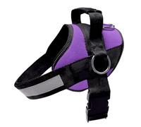 Joyride Basic Essential Dog Harness 1.0 - Small, Medium, Large Dogs, No-Pull Pet Vest with 3 Side Rings for Leash Placement, Adjustable for Training (Purple Majesty, 2XL)