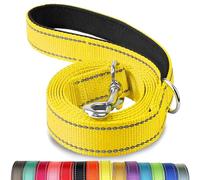 Joytale Dog Lead Strong, Double-Sided Reflective Leads with Soft Padded Handle for Training, Walking leash for Medium & Small Dogs, 1.5m x 2cm, Yellow