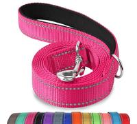 Joytale Dog Lead Strong, Double-Sided Reflective Leads with Soft Padded Handle for Training, Walking Leash for Medium Small Dogs, 1.5m x 2cm, Hotpink