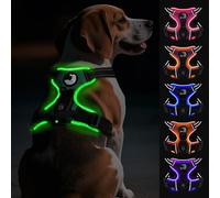 Joytale Light Up Dog Harness, No Pull Dog Harness USB Rechargeable for Night Walking with 3 Lightning Modes and Soft Handle, Adjustable Reflective Lighted Safety Vest,Green, M