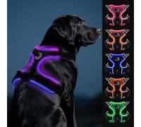 Joytale Light Up Dog Harness, No Pull Dog Harness USB Rechargeable for Night Walking with 3 Lightning Modes and Soft Handle, Adjustable Reflective Lighted Safety Vest,Black-Purple, L
