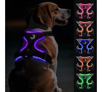 Joytale Light Up Dog Harness, No Pull Dog Harness USB Rechargeable for Night Walking with 3 Lightning Modes and Soft Handle, Adjustable Reflective Lighted Safety Vest,Black-Purple, M