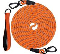 Joytale Long Line Dog Lead for Recall Training & Outdoor Play, Orange, 15M
