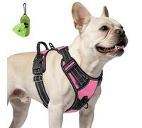 Joytale No Pull Dog Harness, Soft Padded Reflective Vest with Front & Back Lead Clips, Adjustable Straps & Grab Handle, for Night Walks, Hiking & Training, No Escape for Small Dogs, Pink, S