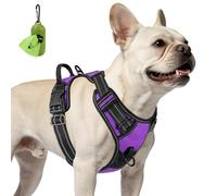 Joytale No Pull Dog Harness, Soft Padded Reflective Vest with Front & Back Lead Clips, Adjustable Straps & Grab Handle, for Night Walks, Hiking & Training, No Escape for Small Dogs, Purple, S