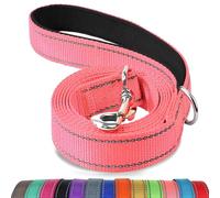 Joytale Padded Handle Dog Lead, Double-Sided Reflective Nylon Leads for Training, Walking Leash for Large, Medium Dogs, 1.2m × 2.5cm, Pink