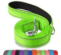 Joytale Padded Handle Dog Lead, Double-Sided Reflective Nylon Leads for Training, Walking Leash for Large, Medium Dogs, 1.2m × 2.5cm, Green