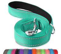Joytale Padded Handle Dog Lead, Double-Sided Reflective Nylon Leads for Training, Walking Leash for Small, Medium Dogs, 1.8m × 2cm, Teal