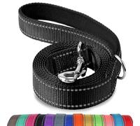 Joytale Padded Handle Dog Lead, Double-Sided Reflective Nylon Leads for Training, Walking Leash for Small, Medium Dogs, 1.2m × 2cm, Black
