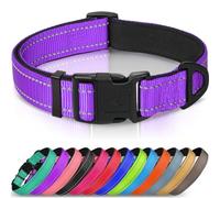Joytale Reflective Dog Collar, Soft Neoprene Padded Breathable Nylon Pet Collar Adjustable for Small Dogs, S, Purple