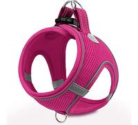 Joytale Step in Dog Harness,Soft Mesh Reflective Breathable Vest Harnesses,Easy Walk Harness with Safety Buckle for Cat and Puppies Dogs,XXXS,Hotpink
