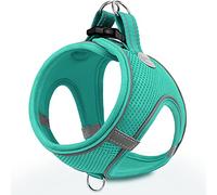 Joytale Step in Dog Harness,Soft Mesh Reflective Breathable Vest Harnesses,Easy Walk Harness with Safety Buckle for Cat,Puppies and Extra Small Dogs,XXS,Teal