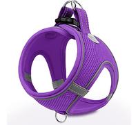 Joytale Step in Dog Harness,Soft Mesh Reflective Breathable Vest Harnesses,Easy Walk Harness with Safety Buckle for Cat,Puppies and Extra Small Dogs,XXS,Purple