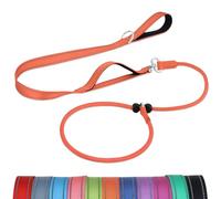 Joytale Tangle-Free Slip Lead for Dogs, 1.8m Slip Lead with Double Padded Handle, Anti Pull Training Leash for Puppy Small Medium Dogs(6-18 KG), Orange