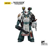 JOYTOY 1/18 Action Figure Sons of Horus Legion Apothecary New Year's gift