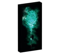 Harry Potter Canvas Picture with 6 LED Lights for Hanging and Standing, 20 x 3 x 40 cm