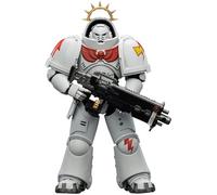 JOYTOY Ultramarines Warhammer 40K 1/18 Action Figures Game Edition White Scars Heavy Intercessor with Heavy Bolt Rifle and Bolt Pistol Collectible Model 5-Inch