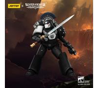 JOYTOY Warhammer 40 Raven Guard Dark Fury & Mor Deythan & MK III & MkVI Tactical