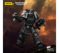 JOYTOY Warhammer 40 Raven Guard Dark Fury & Mor Deythan & MK III & MkVI Tactical