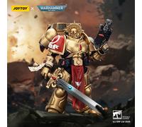 JOYTOY Warhammer 40K 1/18 Action Figure Blood Angels Sanguinary Guard 3PCS Model