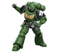 JOYTOY Warhammer 40K 1/18 Action Figure Salamanders Intercessor with Bolt Rifle, Bolt Pistol and Chainsword 4.8'' Mehca Model Collector's Gift