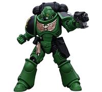 JOYTOY Warhammer 40k 1/18 Action Figure Salamanders Intercessors Brother Haecule Collectible Gifts,Toys for Kids 15+ and Adults 4.76-inch