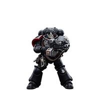 JOYTOY Warhammer 40K 1/18 Action Figures Raven Guard Intercessors Brother Nax Collectible Model