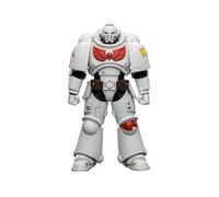 JOYTOY Warhammer 40K 1/18 White Scars Intercessor with Bolt Rifle 4.84 inch | White Scars Intercessor with Bolt Rifle, Bolt Pistol and Chainsword Action Figure 1/18 Collection Model Birthday Gifts 15Age+