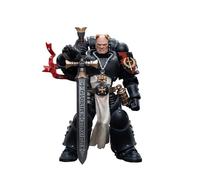 JOYTOY Warhammer 40k Black Templars Emperor's Champion Bayard's Revenge 1/18 Action Figure, Dedicated To You Who Love Collecting